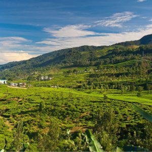 7 Days of Bliss: Beaches, Jungles, and Culture in Indonesia