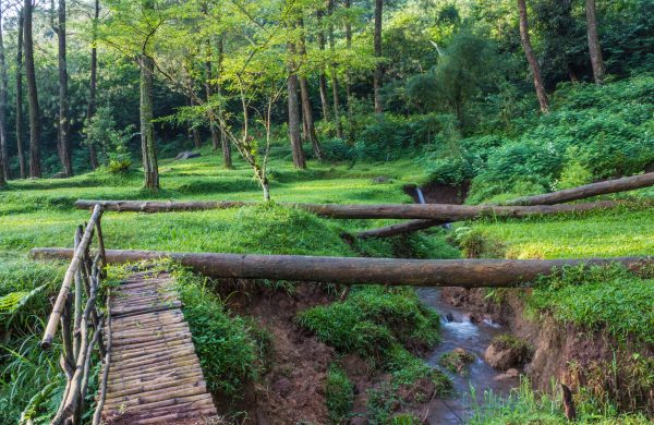 Enchanting Bali: 10-Day Escape to Island Luxury & Adventure