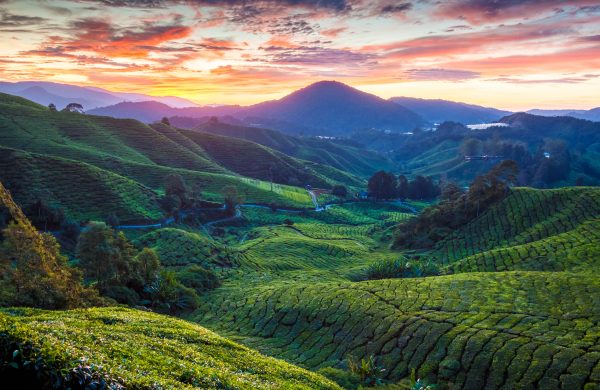 Malaysian Delights: 7-Day Food and Culture Trip